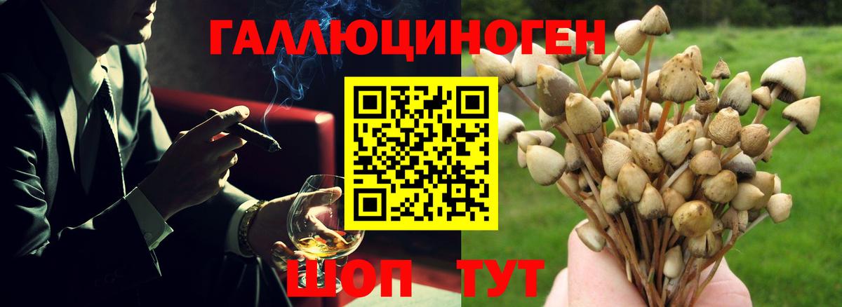 Галлюциногенные грибы Psilocybine cubensis  дарнет шоп  Донецк  Вход с VPN 